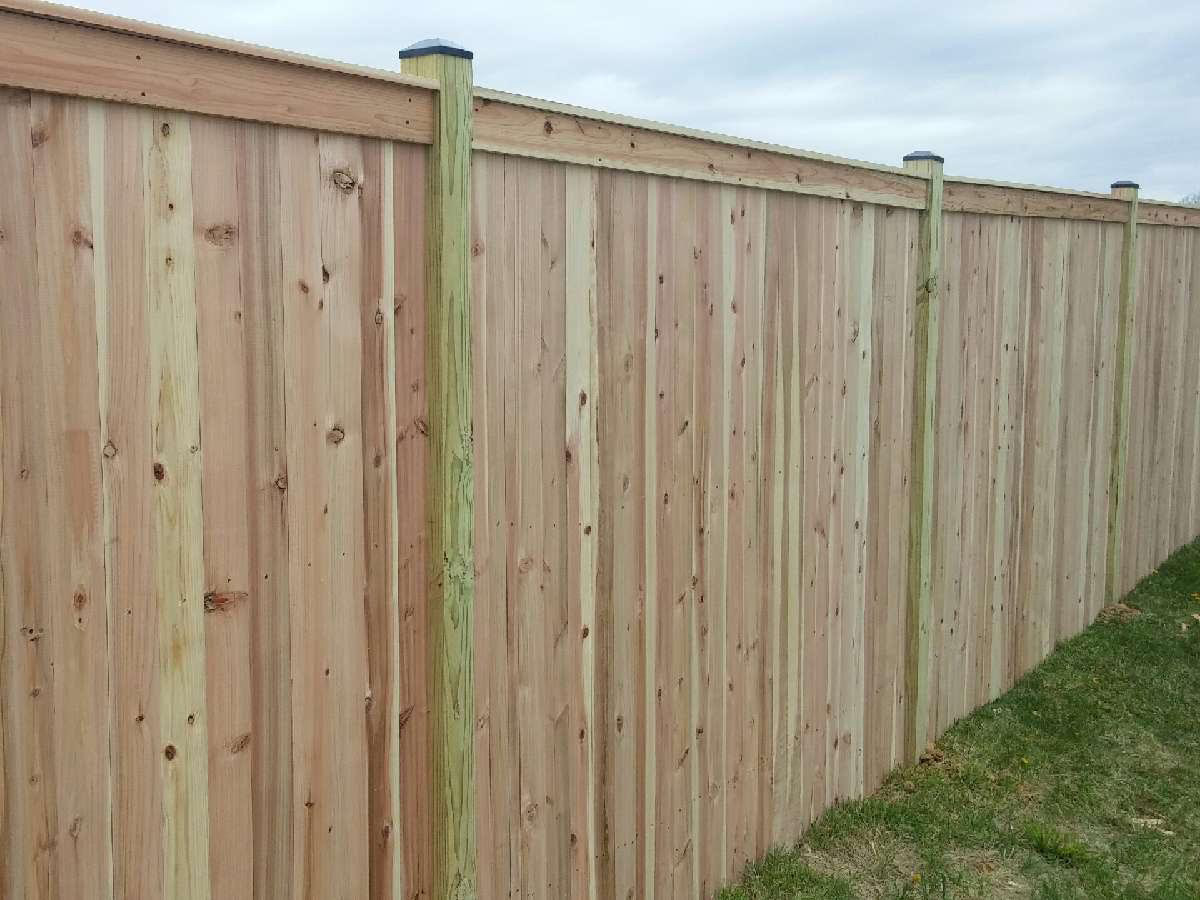 cedar